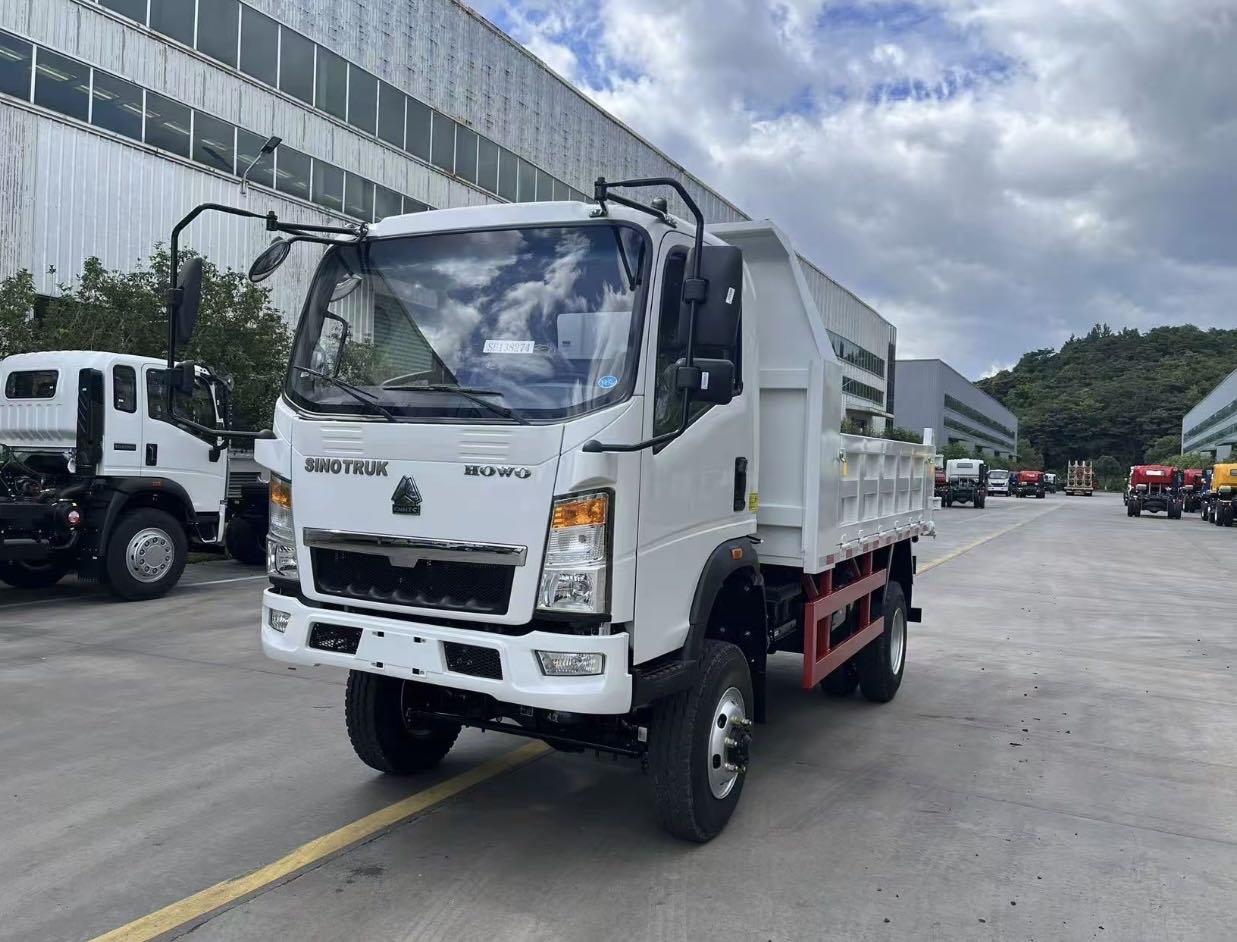 
								HOWO 4X2 Dump Truck full									