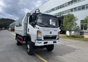 HOWO 4X2 Dump Truck